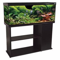 Horizon 182 BLACK EDITION 53398 JPG