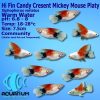 Hi Fin Candy Cresent Mickey Mouse Platy