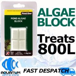 Pond One Algae Block 20g 95006 EBAY