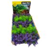Aqua One Ecoscape Foreground Catspaw Pu/ambulia GN Mix PunnetEcoscape Foreground Catspaw Puambulia GN Mix Punnet