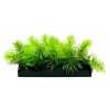 Aqua One Ecoscape Foreground Catspaw Pu/ambulia GN Mix Punnet