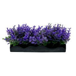 Aqua One Ecoscape Foreground Catspaw Pu/ambulia GN Mix Punnet