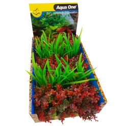 Aqua One Ecoscape Foreground Catspaw R/lilaeopsis GN Mix Punnet