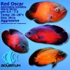Red Oscar
