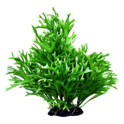 Bushy Plant Water Sprite Plastic Plant 13 inch ( 32.5cm )