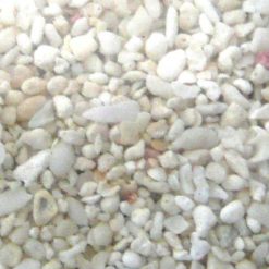 Coral Sand Fine 1mm 10kg