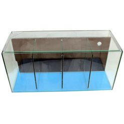 Petworx 4 Betta Aquarium with Air Operated Filter