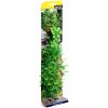 Aqua One Poly Hygro Green 40cm