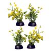 Aqua One Ecoscape Foreground Ogris Auribus Yellow 4 Pack