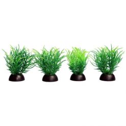 Aqua One Ecoscape Foreground Rica Green 4 Pack
