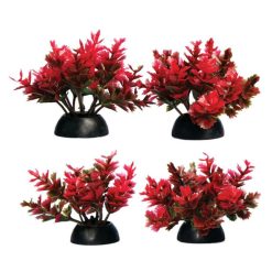 Aqua One Ecoscape Foreground Catspaw Red 4 Pack