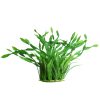 Aqua One Plastic Plant Ecoscape Medium Corkscrew Val Green 20cm
