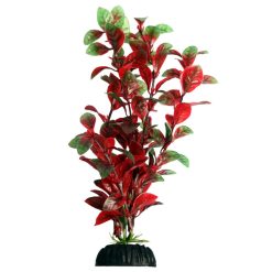 Aqua One Hygro Red 20cm