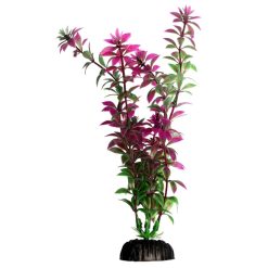 Aqua One Rotala Red 20cm
