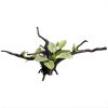 Aqua One Ecoscape Ignotous Driftwood Green 32w x 7.5d x 17h cm