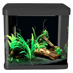 Lifestyle 21 Glass Aquarium Gloss Black