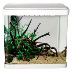 Lifestyle 21 Glass Aquarium Gloss Whit