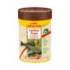 Sera Catfish Chips Nature Catfish Food 38g S00510