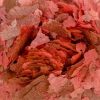 FKC Colour Flake 100g Premium Grain Free