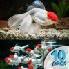 Oranda Red Cap 10 Pack