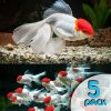 Oranda Red Cap 5 Pack