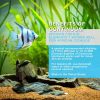 Continuum african cichlid elements•T 2 Litre