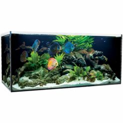 OptiClear AquaSys 315 Tropical/Plant Aquarium 315L