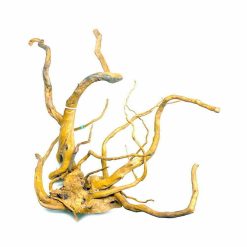 Wood - Tweetywood / Gold Vine Medium