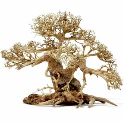 Petworx Bonsai Wood on Rock Approx. 23cm