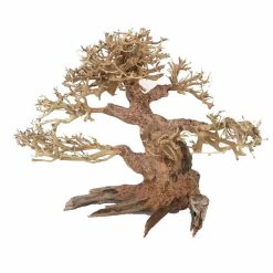 Petworx Bonsai Driftwood Medium (20 x 20 x 10cm)