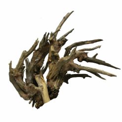 Petworx Bonsai Kirin Wood Small Approx. 20cm
