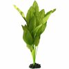 Amazon Broad Leaf 40cm