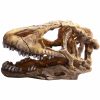 Ornament Dinosaur Skull 23.4x10.5x13.5cm 36762
