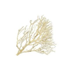 Wood - Natural Coral Aquascaping Wood Medium
