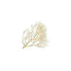 Wood - Natural Coral Aquascape Wood Nano