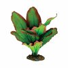 Silk Plant Amazon Red Green 20cm