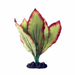 Silk Plant Amazon Red Green Small
