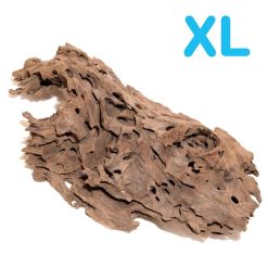 Wood - Natural Dragonwood Driftwood X-Large