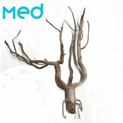 Wood - Bioscape Phantom Wood Tree Medium