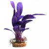 Purple Echinodorus with Gravel Base