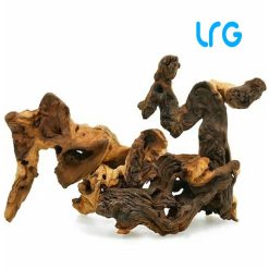 Wood - Natural Tectona (Maponi Style) Driftwood Large