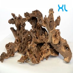 Wood - Natural Tectona (Maponi Style) Driftwood X Large