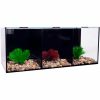 Betta Condo Trio Aquarium