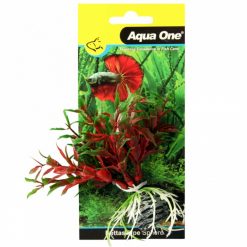Pilea On Sphere Red And Green