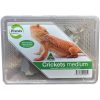 Live Crickets Medium