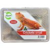Live Crickets Small