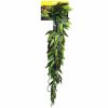 Tradescantia Cascading Plant 72cm