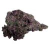 Petworx Ornament Large Live Rock