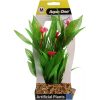 Aqua One Madagascar Lace Plant