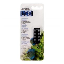 Marina Digital Thermometer 22-30°c